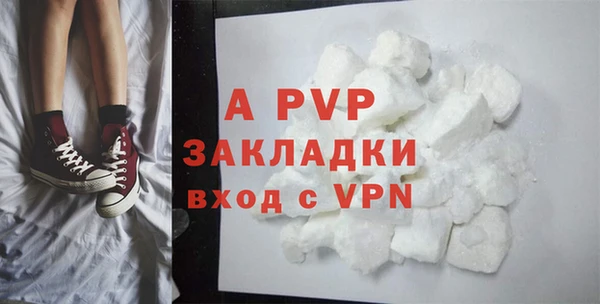 молекула духа Богданович