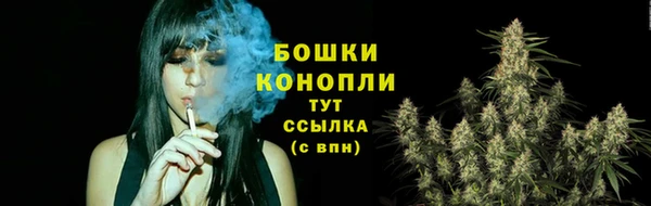 первитин Богородицк