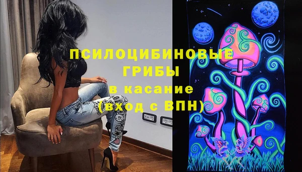молекула духа Богданович