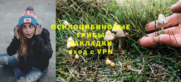 молекула духа Богданович