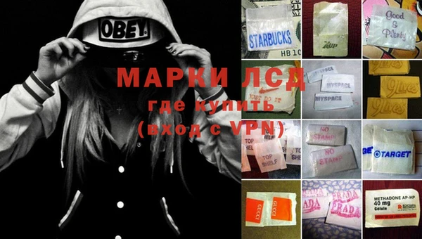 молекула духа Богданович