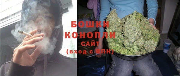 первитин Богородицк