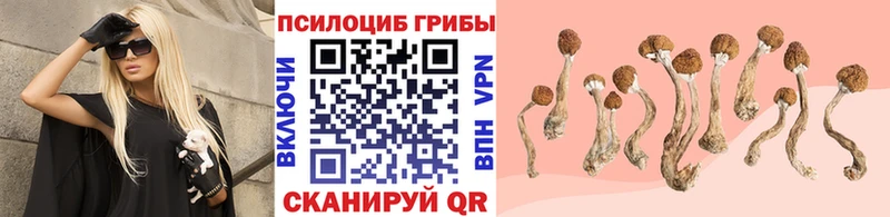 Псилоцибиновые грибы MAGIC MUSHROOMS  Курган 